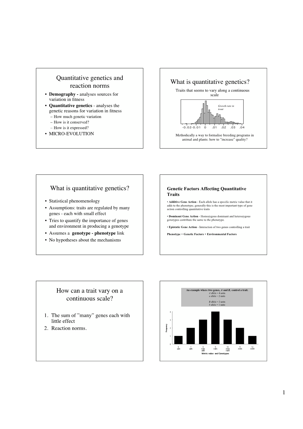 What Is Quantitative Genetics?