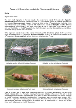 Moth Species Trapped Or Seen in 2004