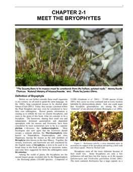 Chapter 2-1 Meet the Bryophytes