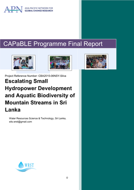 Capable Programme Final Report