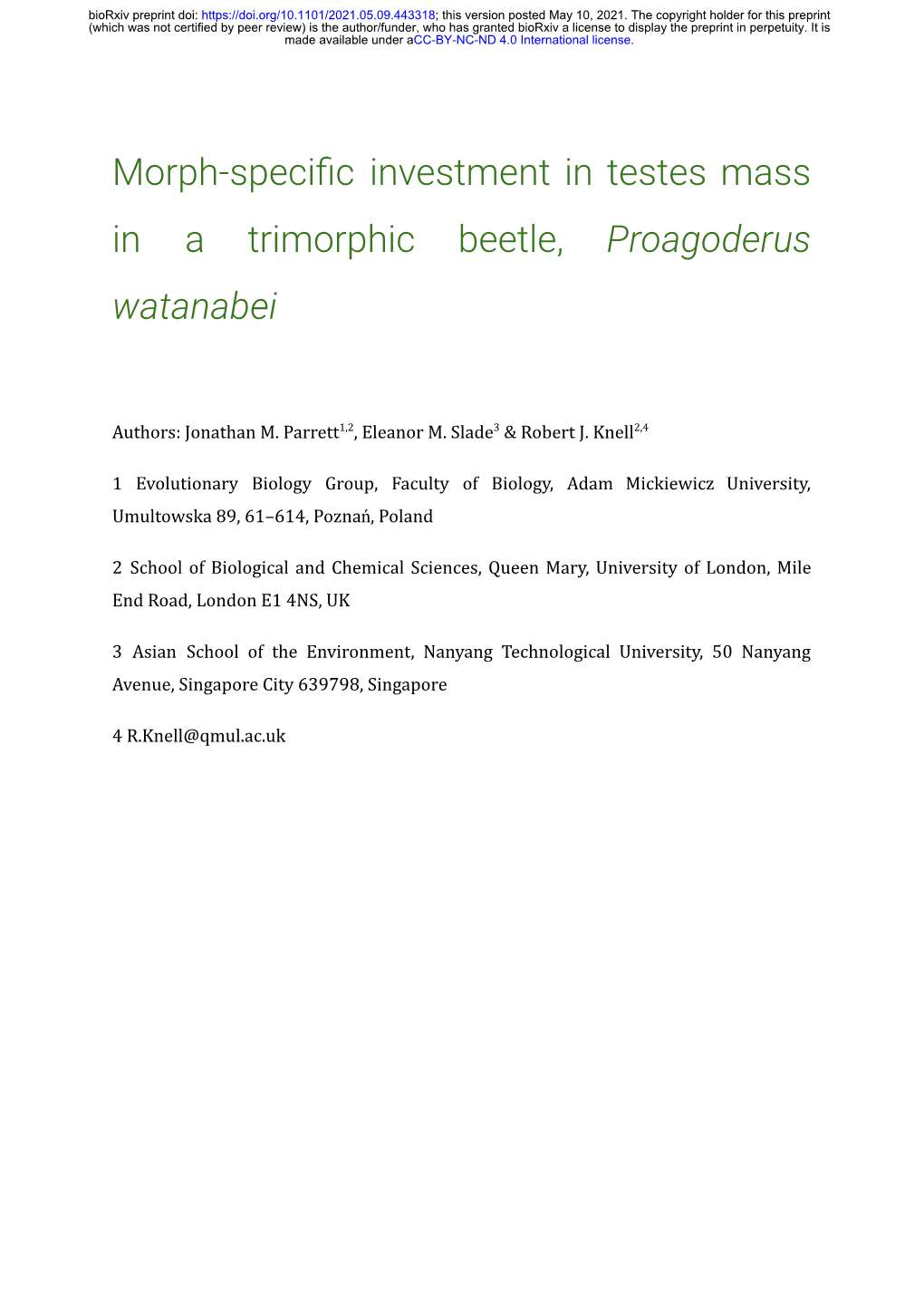 Morph-Specific Investment in Testes Mass in a Trimorphic Beetle