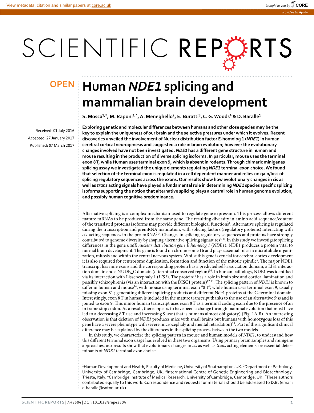 Human NDE1 Splicing and Mammalian Brain Development S