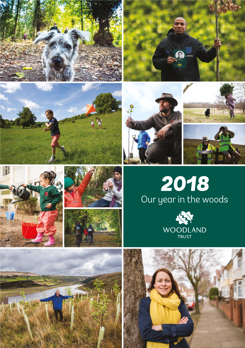 Annual Review 2018