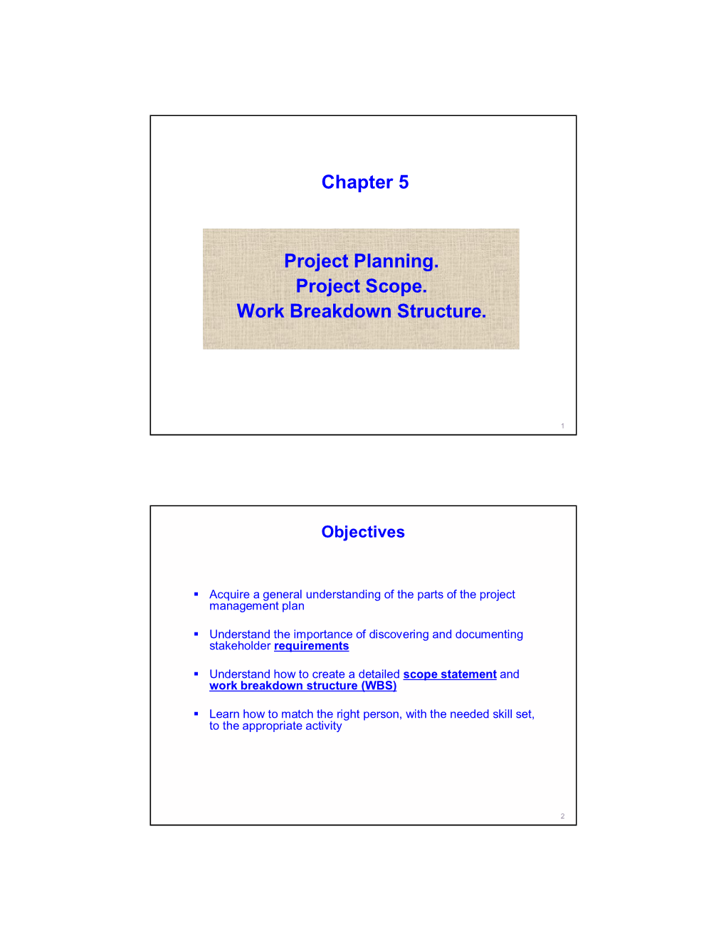 Chapter 5 Project Planning. Project Scope. Work Breakdown Structure