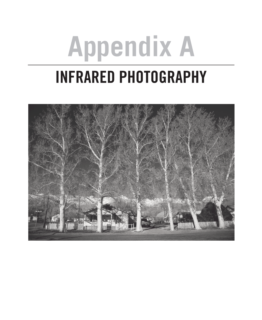 Infrared Photography (PDF)