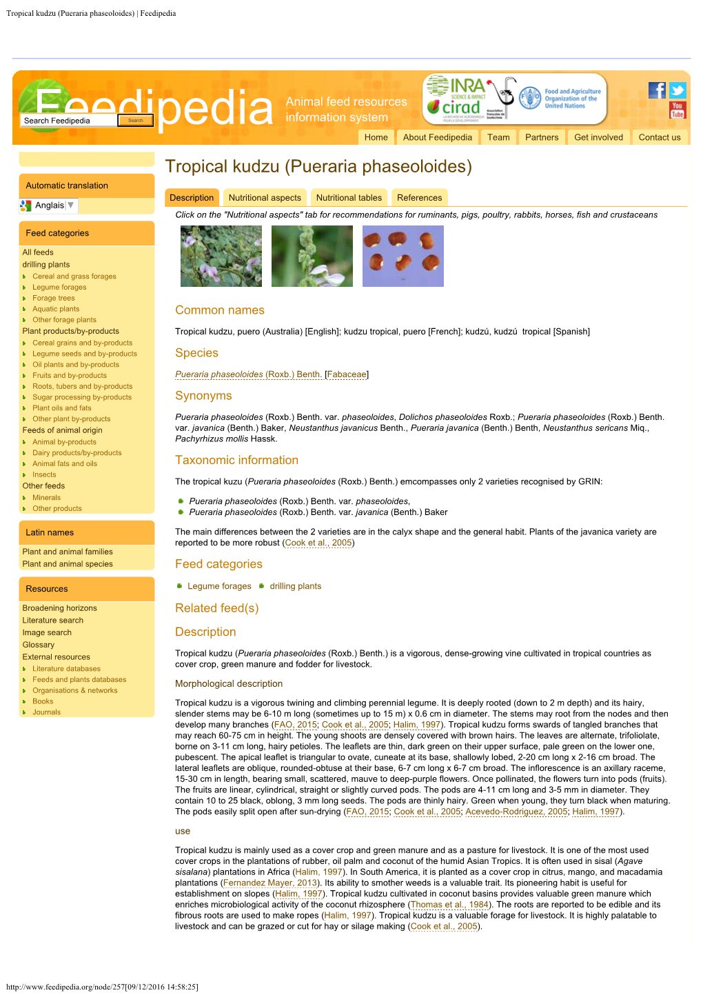 Pueraria Phaseoloides) | Feedipedia