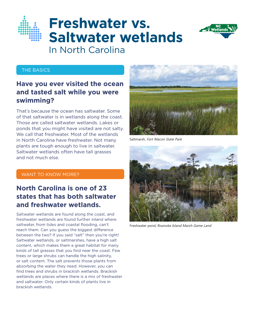 Freshwater Vs. Saltwater Wetlands Saltwater Vs Freshwaterin North Carolina