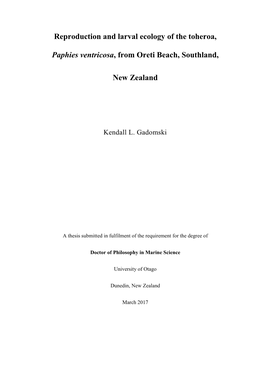 Reproduction and Larval Ecology of the Toheroa, Paphies Ventricosa, from Oreti Beach, Southland, New Zealand