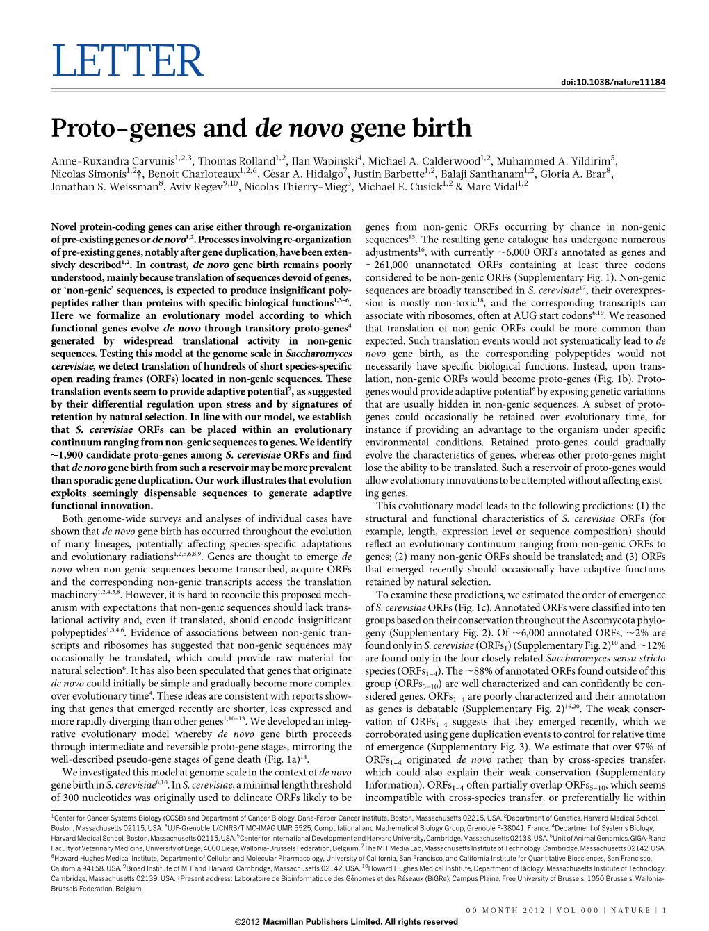 Proto-Genes and De Novo Gene Birth