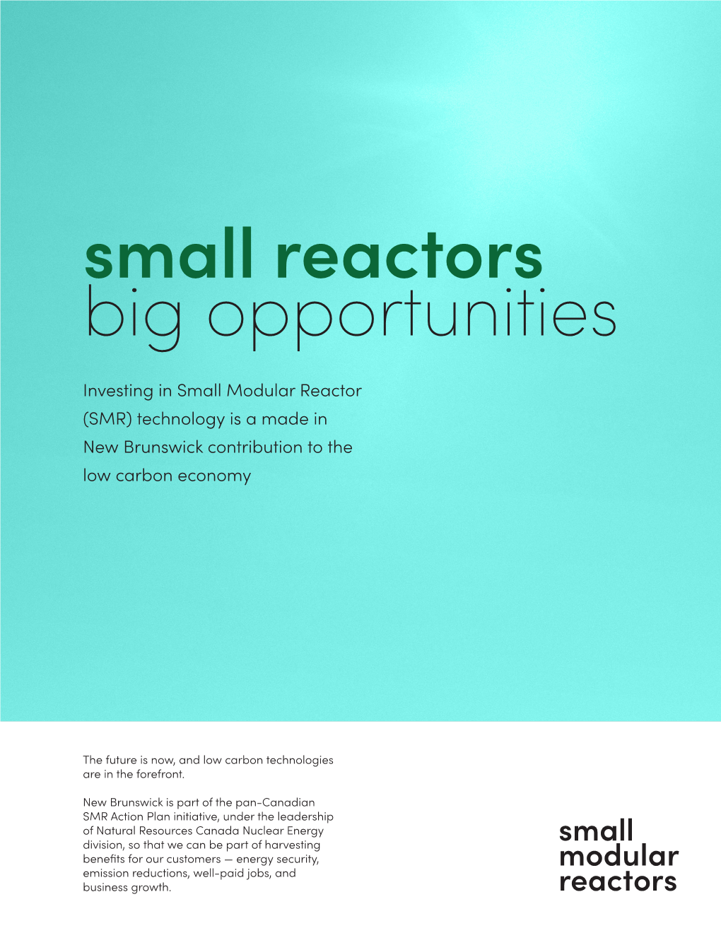 Small Reactors Big Opportunities