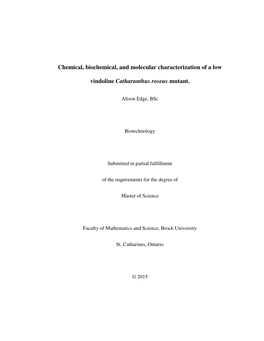 Chemical, Biochemical, and Molecular Characterization of a Low Vindoline