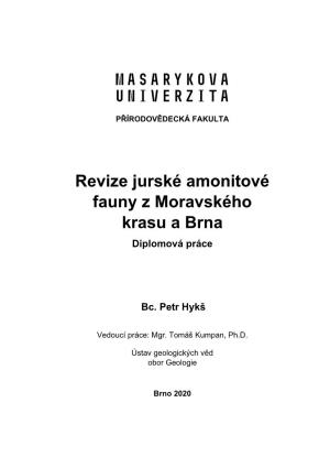 Revize Jurské Amonitové Fauny Z Moravského Krasu a Brna Diplomová Práce