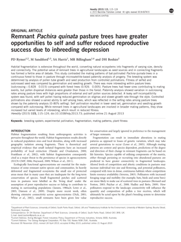Remnant Pachira Quinata Pasture Trees Have Greater Opportunities to Self and Suffer Reduced Reproductive Success Due to Inbreeding Depression