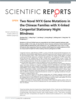 Two Novel NYX Gene Mutations in the Chinese Families with X-Linked