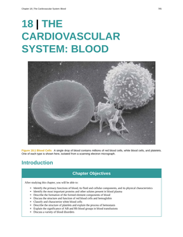 18 | the Cardiovascular System: Blood 785 18 | the CARDIOVASCULAR SYSTEM: BLOOD