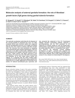 Molecular Analysis of Genital Tubercle Formation 2473