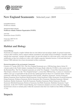 New England Seamounts