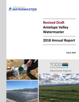 Revised Draft Antelope Valley Watermaster 2018 Annual Report