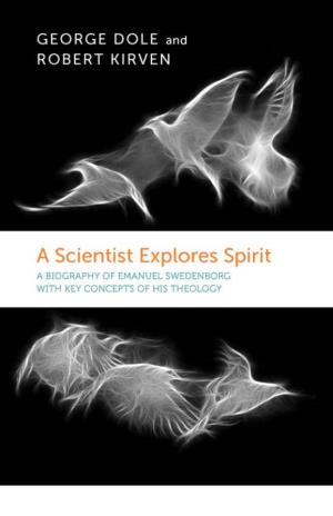 A Scientist Explores Spirit