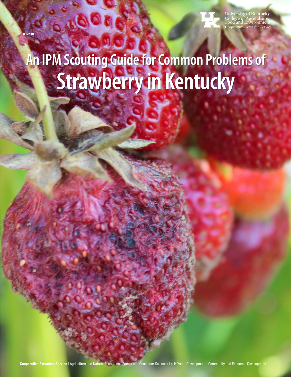 ID-238: an IPM Scouting Guide for Common Problems of Strawberry in Kentucky