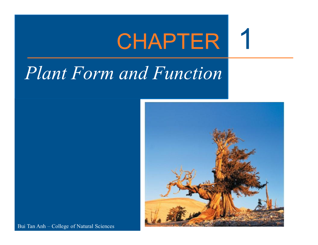CHAPTER 1 Plant Form and Function