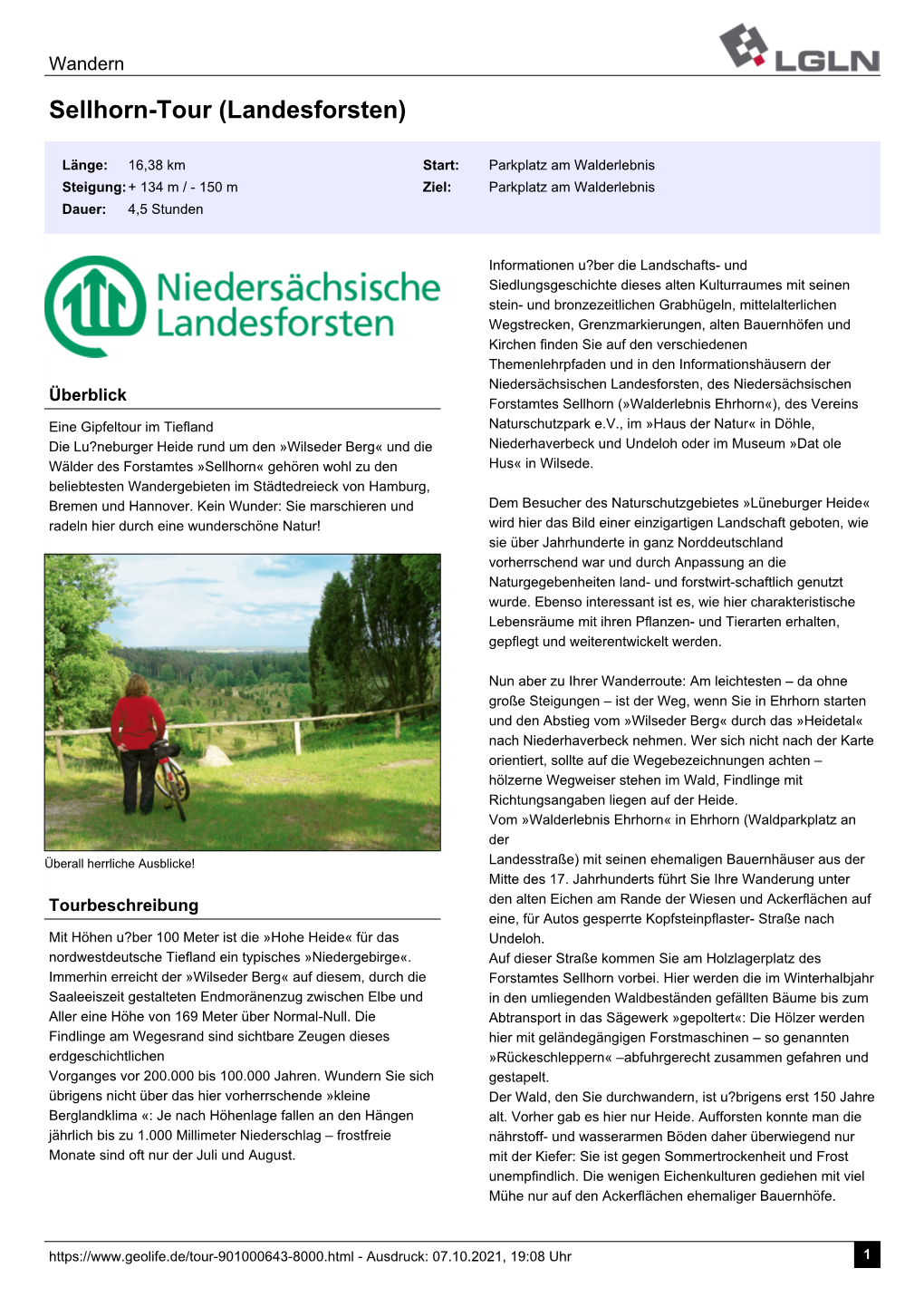 Sellhorn-Tour (Landesforsten)