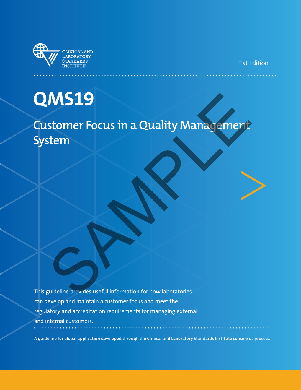 QMS19: Customer Focus in a Quality Management, 1St Edition