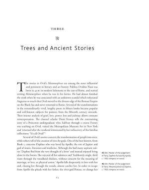 Trees and Ancient Stories