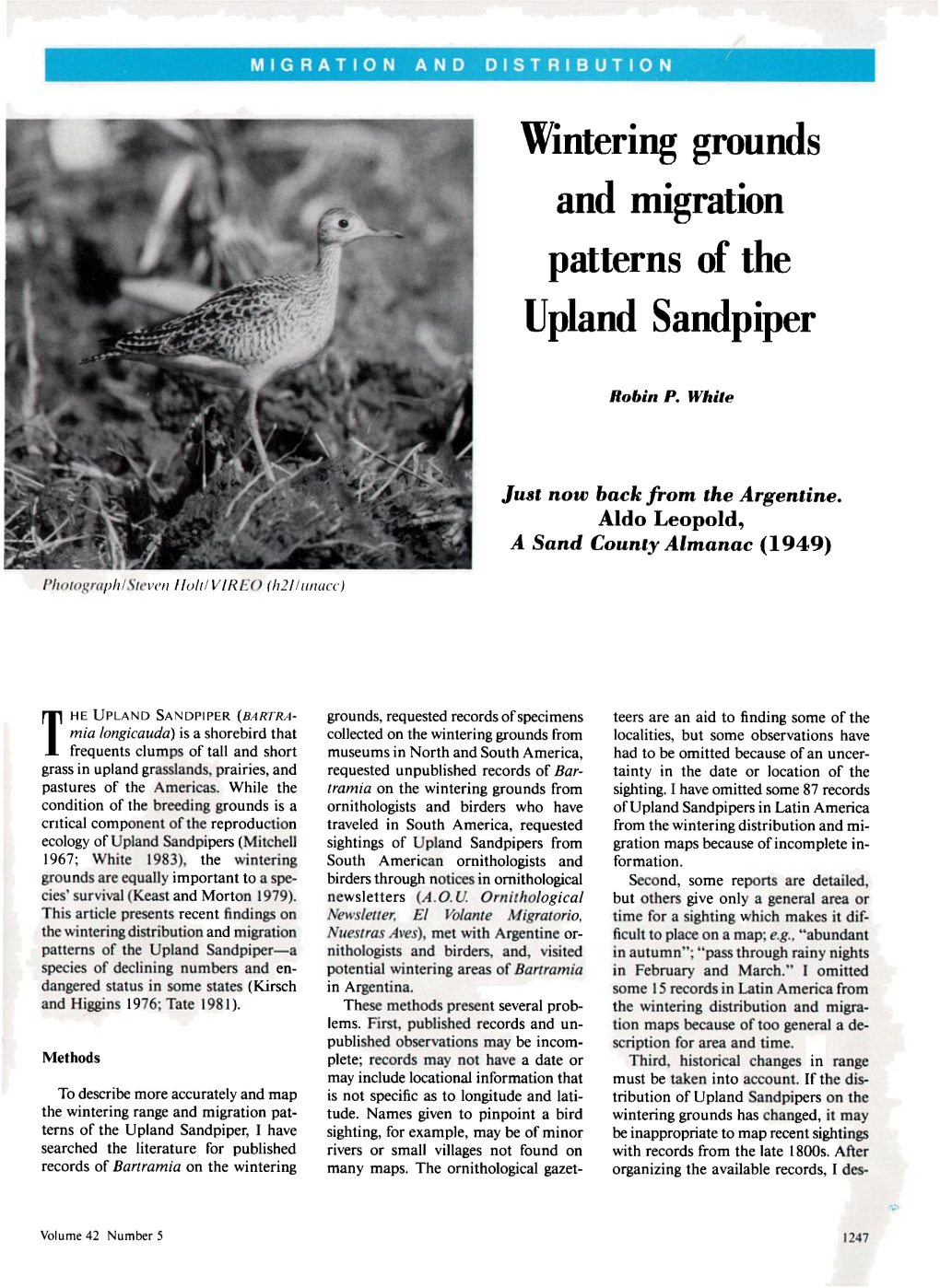 Wintering Grounds and Migration Patterns of the Upland Sandpiper