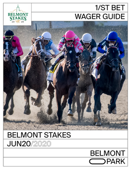 1/St Bet Wager Guide Belmont Park Jun20 Belmont Stakes