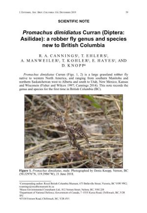 Promachus Dimidiatus Curran (Diptera: Asilidae): a Robber Fly Genus and Species New to British Columbia