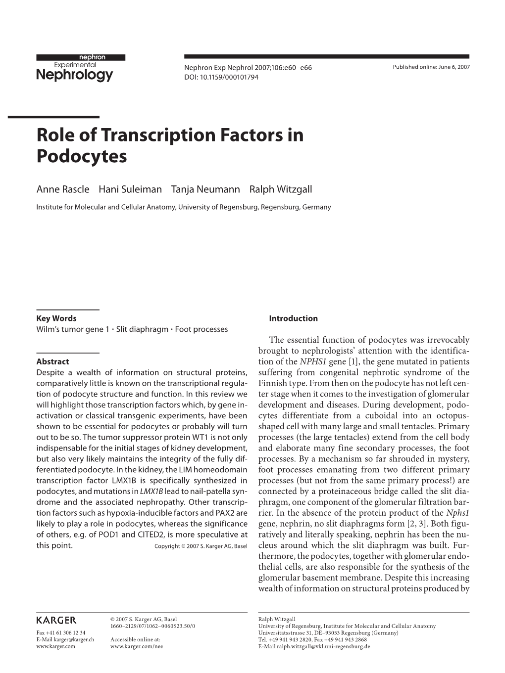 Role of Transcription Factors in Podocytes