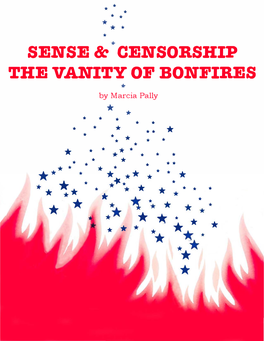 Sense and Censorship: the Vanity of the Bonfires This Project