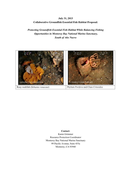 MBNMS Collaborative Groundfish Essential Fish Habitat (EFH