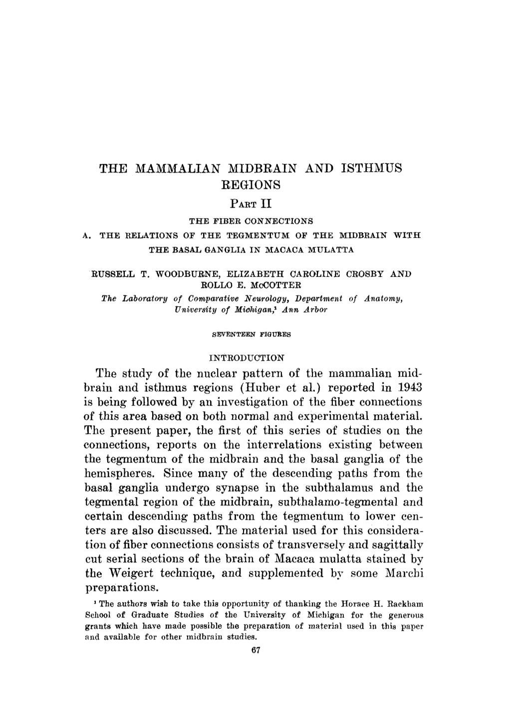 The Mammalian Midbrain and Isthmus Regions Part I1