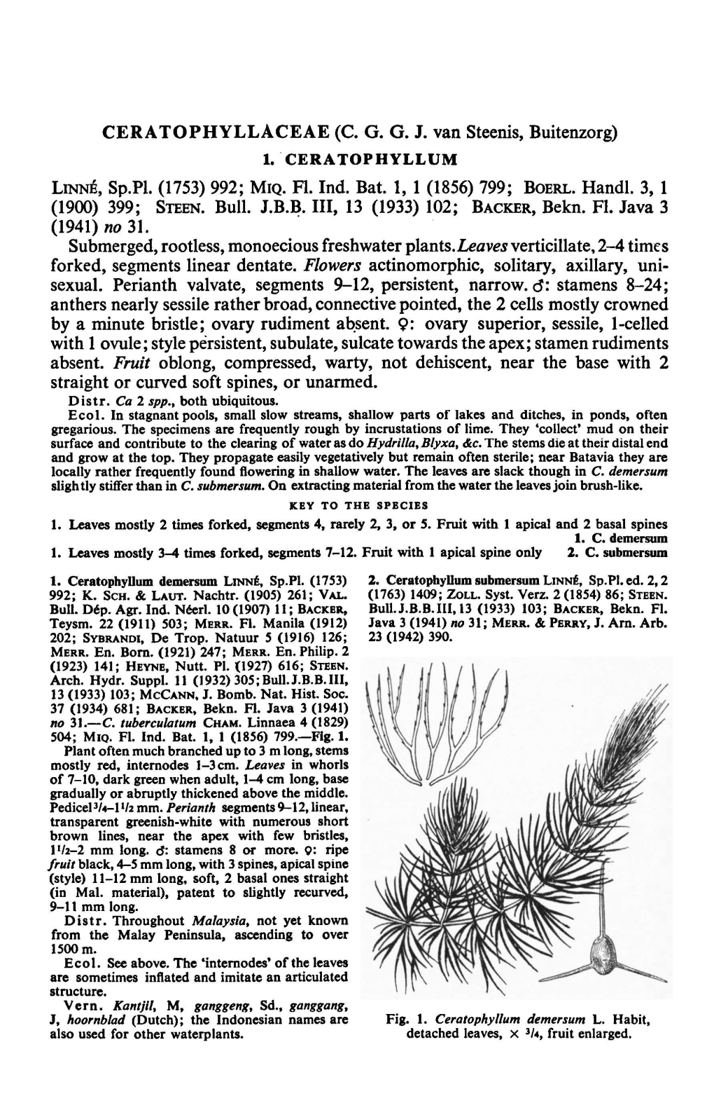Ceratophyllaceae Buitenzorg) LINNE, Sp.Pl