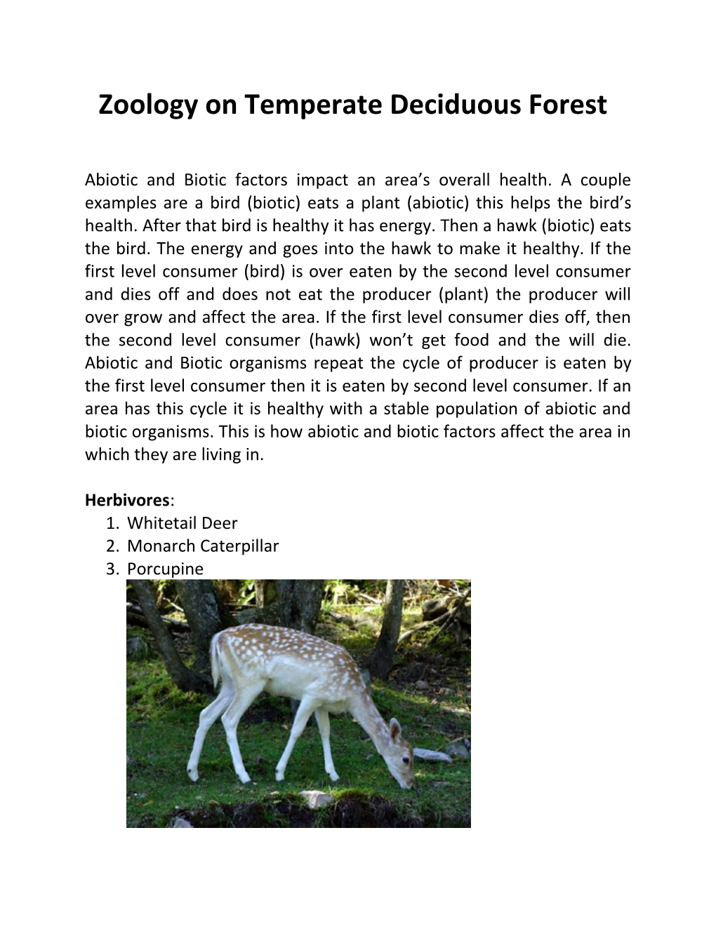 Zoology on Temperate Deciduous Forest