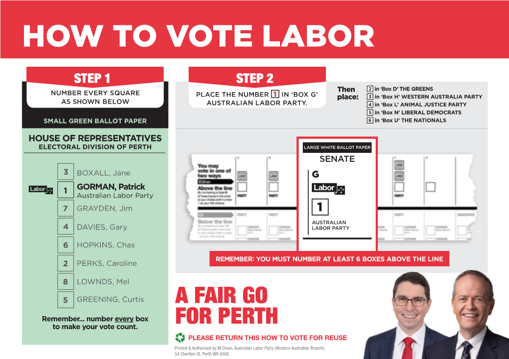 How to Vote Labor