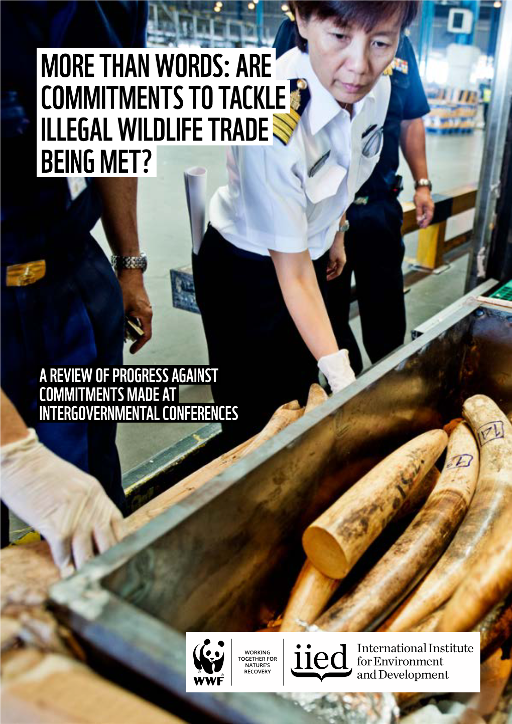 Are Commitments to Tackle Illegal Wildlife Trade Being Met?