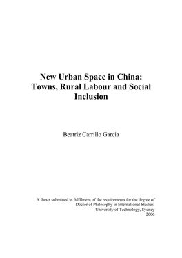 New Urban Space in China: Towns, Rural Labour and Social Inclusion