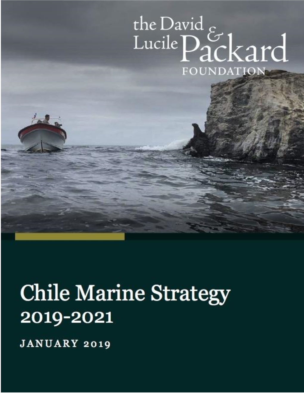 Chile Marine Strategy, 2019-2021