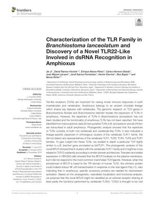 Characterization of the TLR Family in Branchiostoma Lanceolatum and Discovery of a Novel TLR22-Like Involved in Dsrna Recognition in Amphioxus