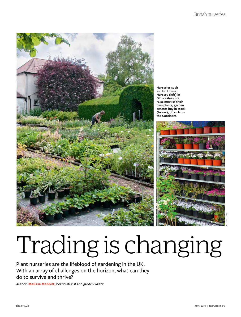 Trading Is Changing Plant Nurseries Are the Lifeblood of Gardening in the UK