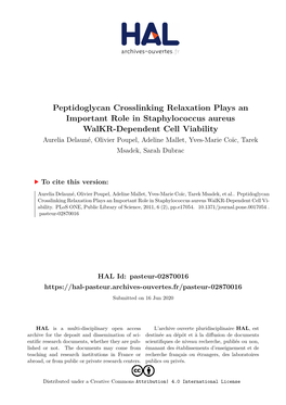 Peptidoglycan Crosslinking Relaxation Plays An