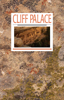 Cliff Palace Mesa Verde National Park
