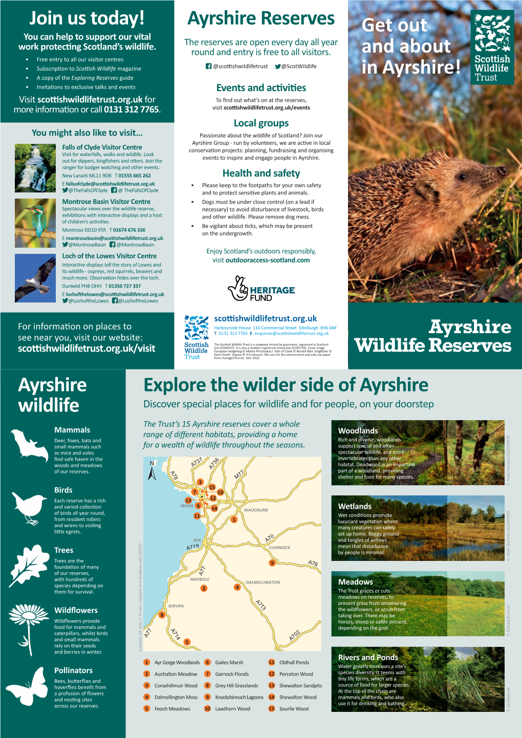 Ayrshire Reserves You Can Help to Support Our Vital Get out Work Protecting Scotland’S Wildlife