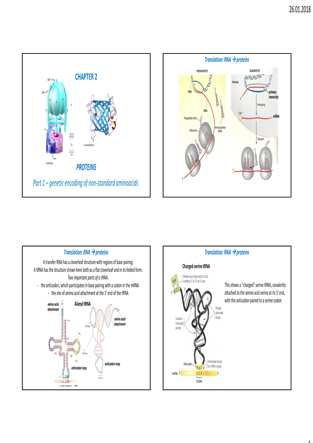 26.01.2018 1 CHAPTER 2 PROTEINS Part 1 – Genetic Encoding of Non