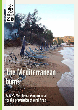 The Mediterranean Burns