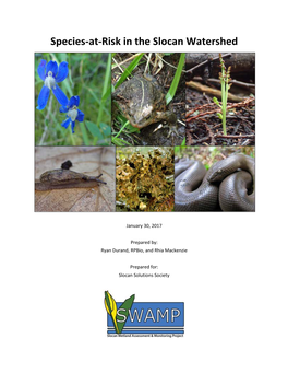 Species-At-Risk in the Slocan Watershed – 2017