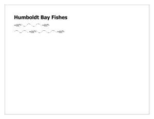 Humboldt Bay Fishes